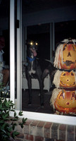 00453_n_26aw5lgstb00453