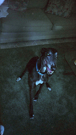 00126_n_26aw5lgstb00126