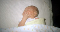 00561_n_26aw5lgstb00561