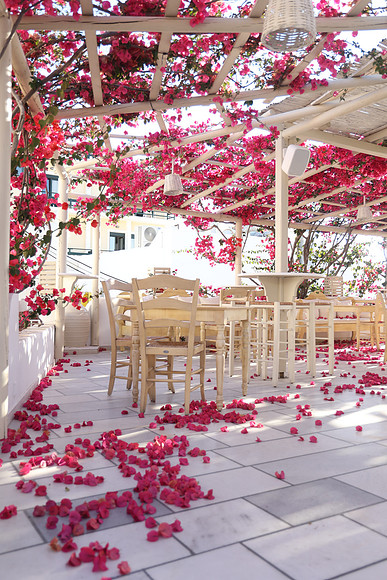 2024_Greece_Naxos_062