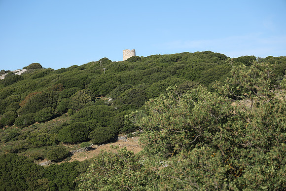 2024_Greece_Naxos_184