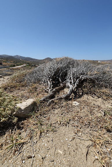2024_Greece_Naxos_227