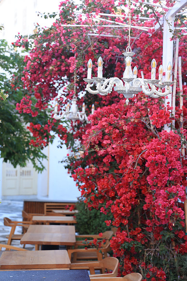 2024_Greece_Mykonos_50