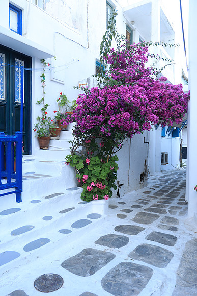 2024_Greece_Mykonos_45
