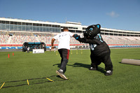 Carolina Panthers Sir Purr