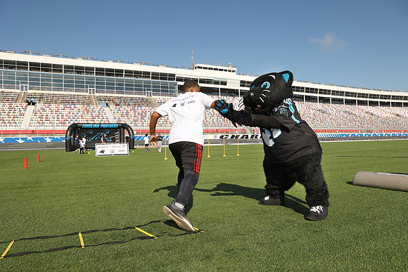 Carolina Panthers Sir Purr