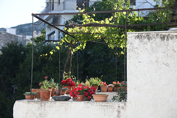 2024_Greece_Naxos_179