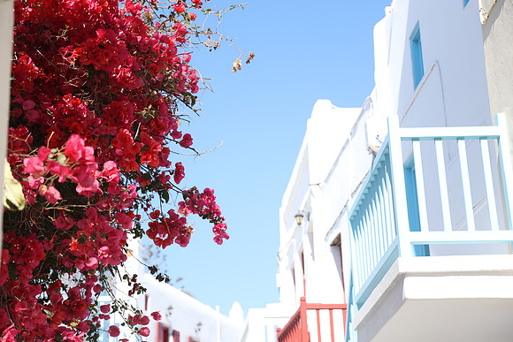 2024_Greece_Mykonos_71