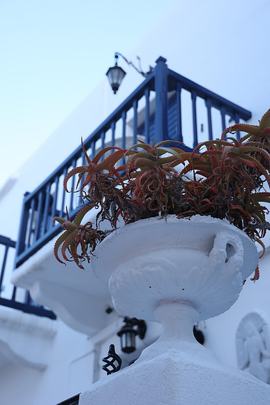 2024_Greece_Mykonos_53