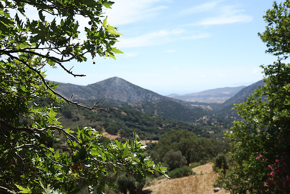 2024_Greece_Naxos_153