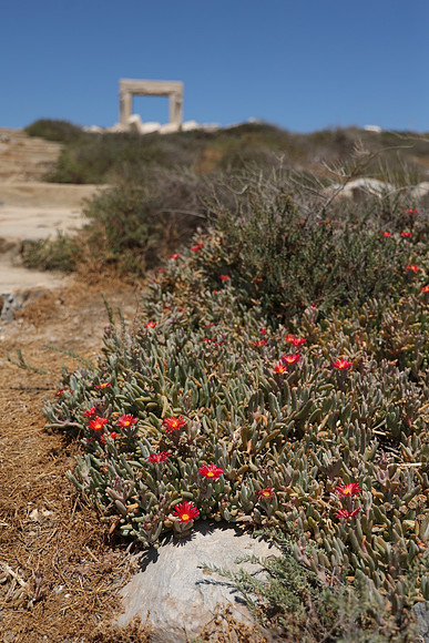 2024_Greece_Naxos_044