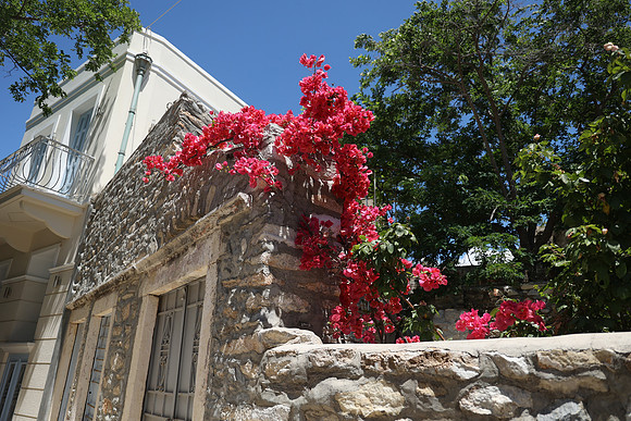 2024_Greece_Naxos_106