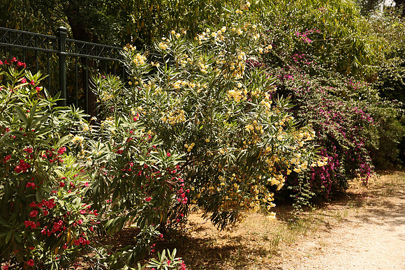 2024_Greece_Athens_0112