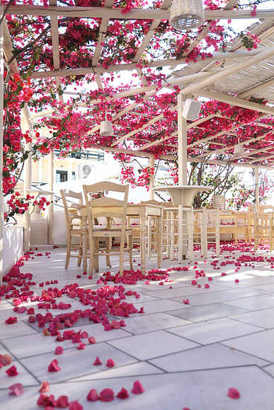 2024_Greece_Naxos_061