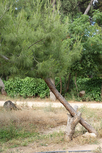 2024_Greece_Athens_0020