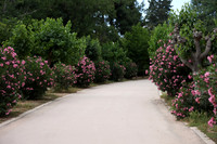 2024_Greece_Athens_0006