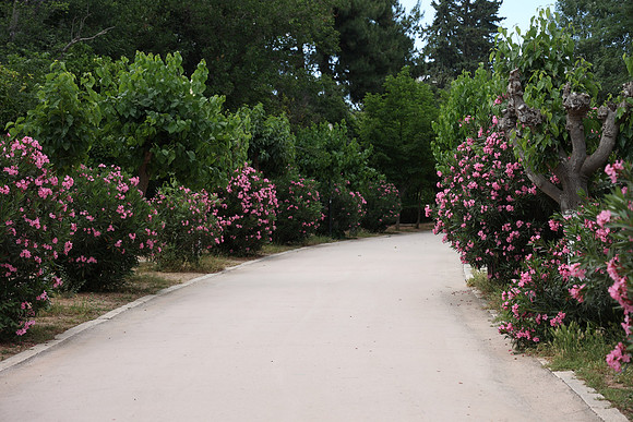 2024_Greece_Athens_0006
