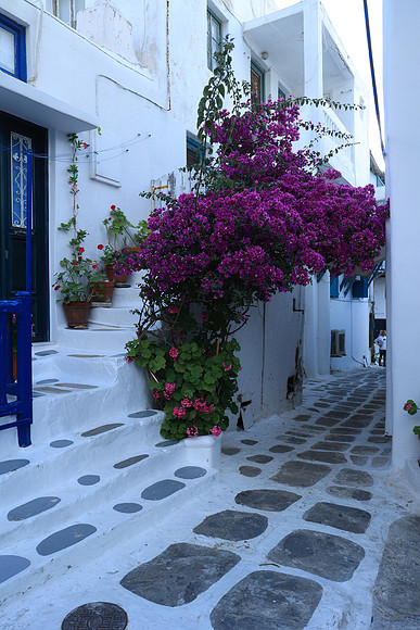 2024_Greece_Mykonos_46