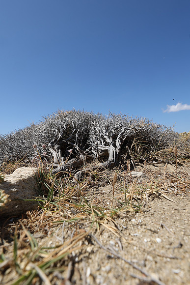 2024_Greece_Naxos_228