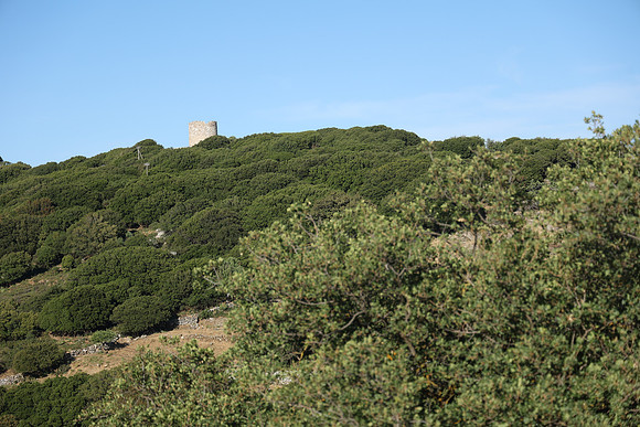 2024_Greece_Naxos_185