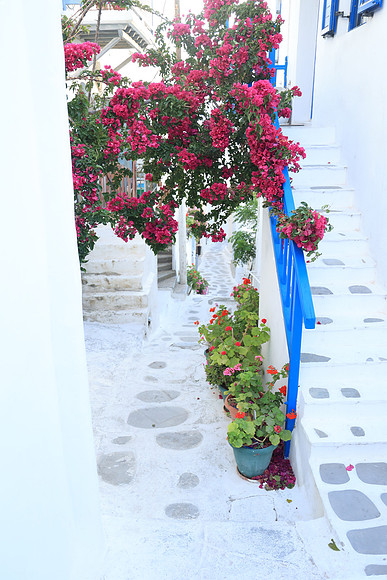 2024_Greece_Mykonos_43