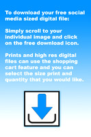 Download_Instructions