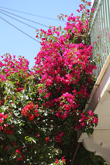 2024_Greece_Naxos_084