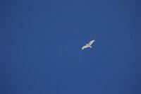 2024_Greece_Milos_004