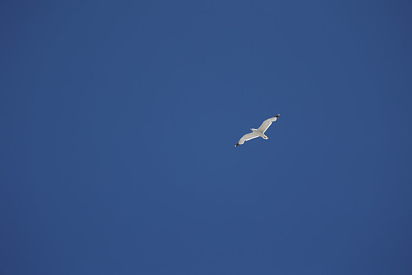 2024_Greece_Milos_004