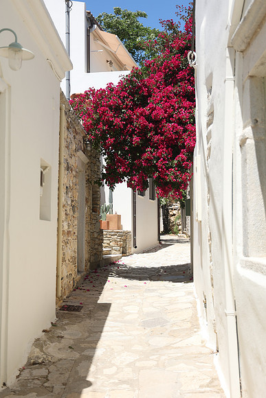2024_Greece_Naxos_104