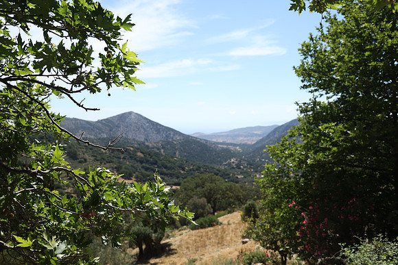 2024_Greece_Naxos_154