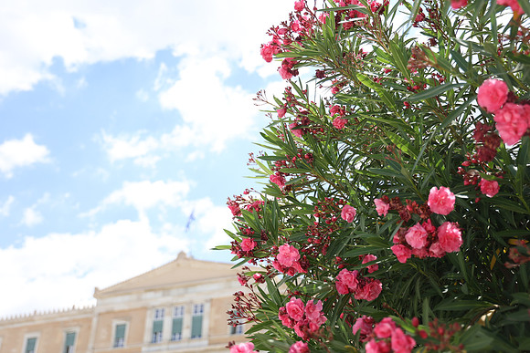 2024_Greece_Athens_0086