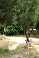 2024_Greece_Athens_0019