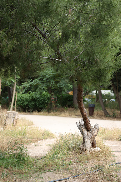 2024_Greece_Athens_0019